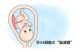 鸡西怀孕28周可以做引产吗(孕28周可以引产不)